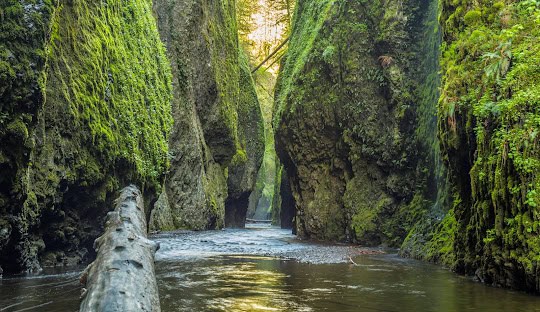 Multnomah Falls