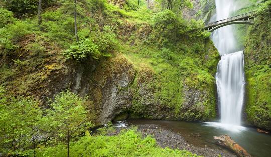 Multnomah Falls